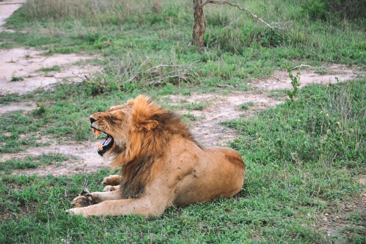 Honeyguide Tented Safari Camp - Khoka Moya มันเยเลติเกมรีเซิร์ฟ ภายนอก รูปภาพ
